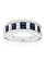 14K White Gold Sapphire and Diamond Band